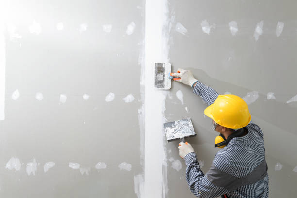 Best Forensic Mold Investigation  in Watertown, WI
